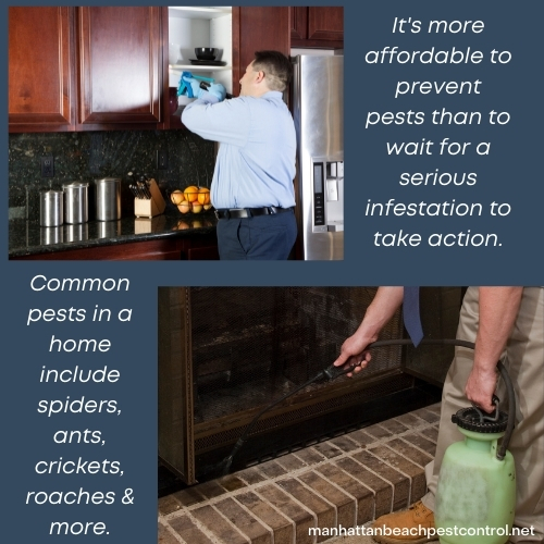 residential-pest-exterminator-Manhattan-Beach-90266